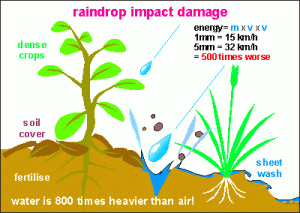 A drawing showing rain drop impact damage on bare soil